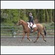 durdress22_0449