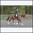 durdress22_0450
