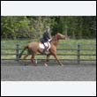 durdress22_0453