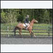 durdress22_0454
