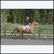 durdress22_0455