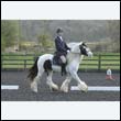durdress22_0456