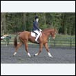 durdress22_0459