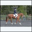 durdress22_0460