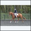 durdress22_0461