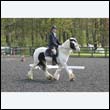 durdress22_0464