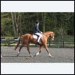 durdress22_0466