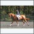 durdress22_0468