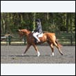 durdress22_0469