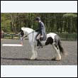 durdress22_0471