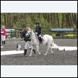 durdress22_0473