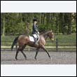 durdress22_0474