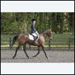durdress22_0475