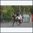 durdress22_0485