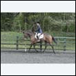 durdress22_0487