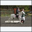 durdress22_0495