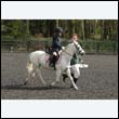 durdress22_0499