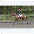 durdress22_0503