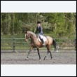 durdress22_0510