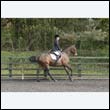 durdress22_0511