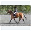 durdress22_0514