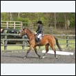 durdress22_0516