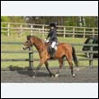 durdress22_0517