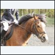 durdress22_0519
