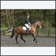 durdress22_0523