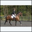 durdress22_0526