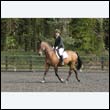 durdress22_0528