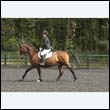 durdress22_0529