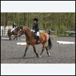 durdress22_0530