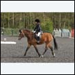 durdress22_0531