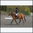 durdress22_0532
