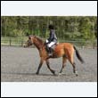 durdress22_0533