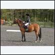 durdress22_0534