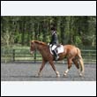 durdress22_0535