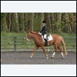 durdress22_0537