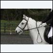 durdress22_0540