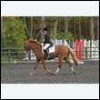 durdress22_0542