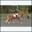 durdress22_0543