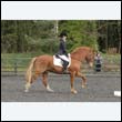 durdress22_0544