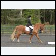 durdress22_0545