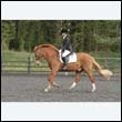 durdress22_0547