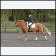durdress22_0548