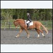 durdress22_0549