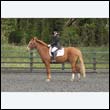 durdress22_0550