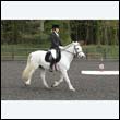 durdress22_0553