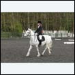 durdress22_0556